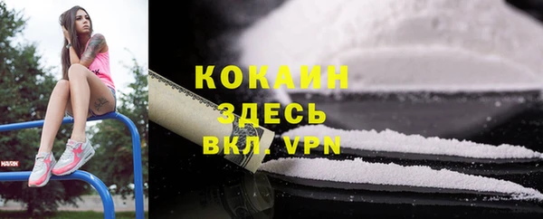 амф Калининец