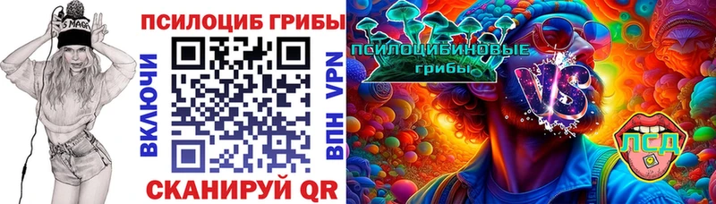 Псилоцибиновые грибы GOLDEN TEACHER  kraken вход  Сычёвка 